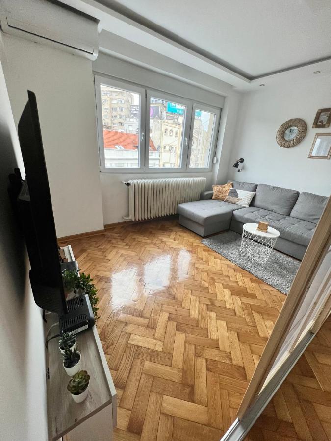 Comfortable Apartment In City Hub Beograd Ngoại thất bức ảnh